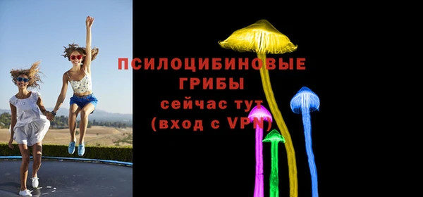 спайс Абаза