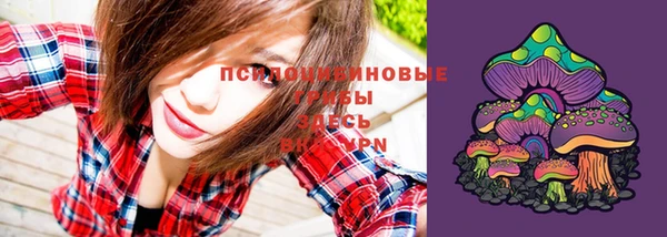 винт Абинск