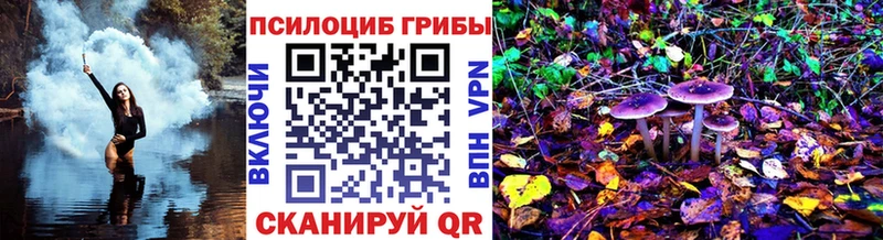 кракен как войти  Алейск  Галлюциногенные грибы прущие грибы 